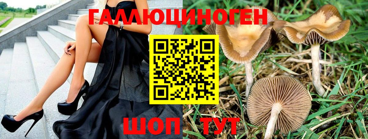 Галлюциногенные грибы мухоморы  Вход с VPN  Ачинск  Псилоцибиновые грибы Magic Shrooms 